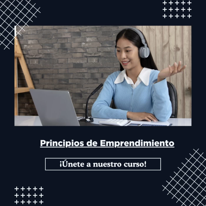 Principios de Emprendimiento