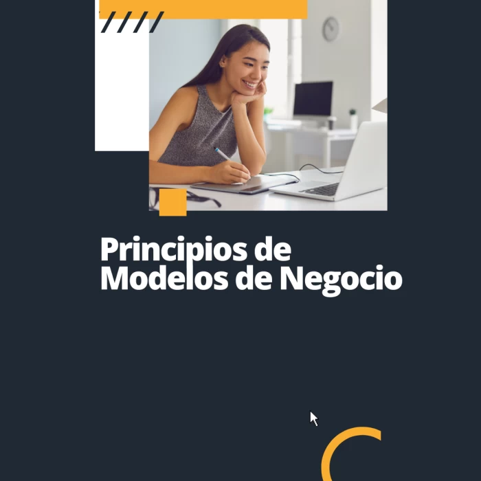 Principios de Modelos de Negocio